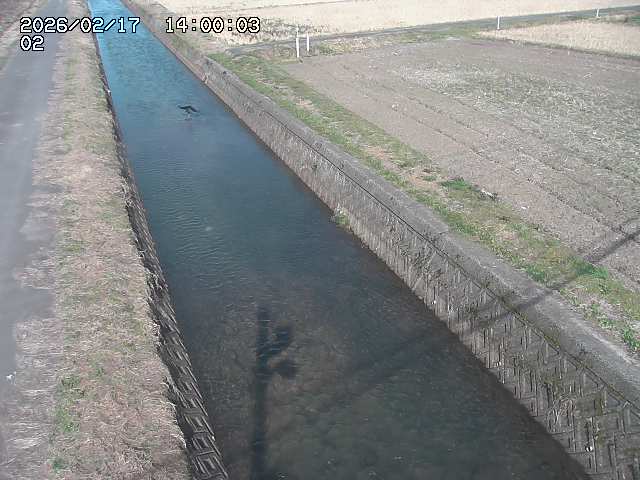 大倉川１2026/02/17 18:20:00
