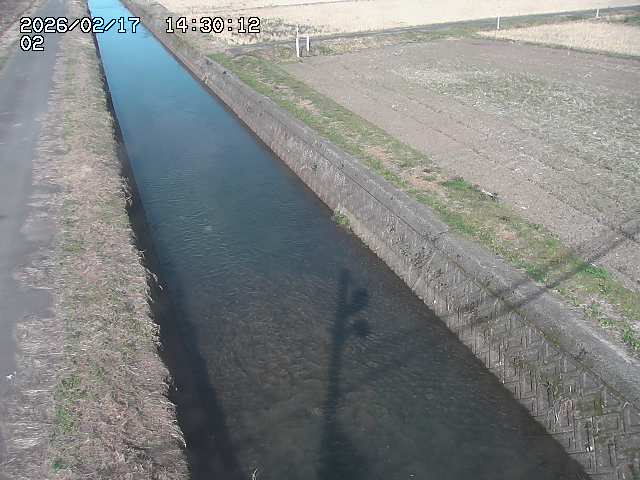 大倉川１2026/02/17 18:20:00