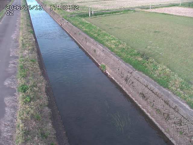 大倉川１2026/04/14 17:00:00