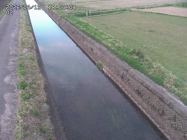 大倉川１2026/04/14 17:00:00