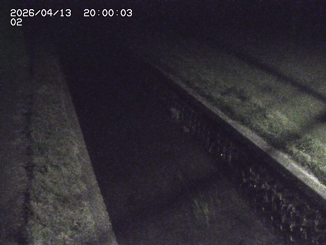 大倉川１2026/04/14 17:00:00