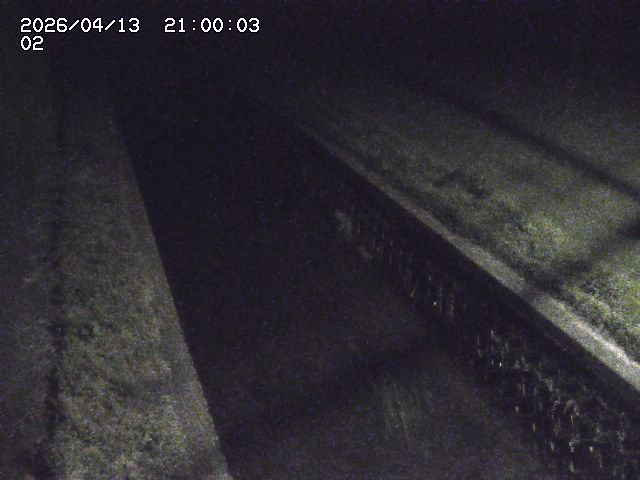 大倉川１2026/04/14 17:00:00