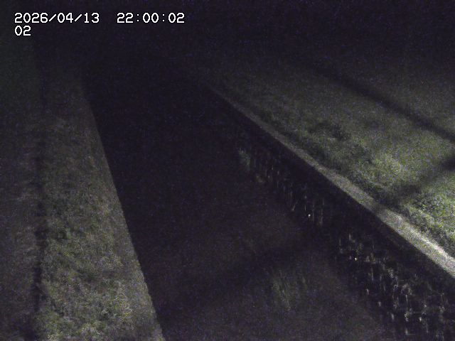 大倉川１2026/04/14 17:00:00