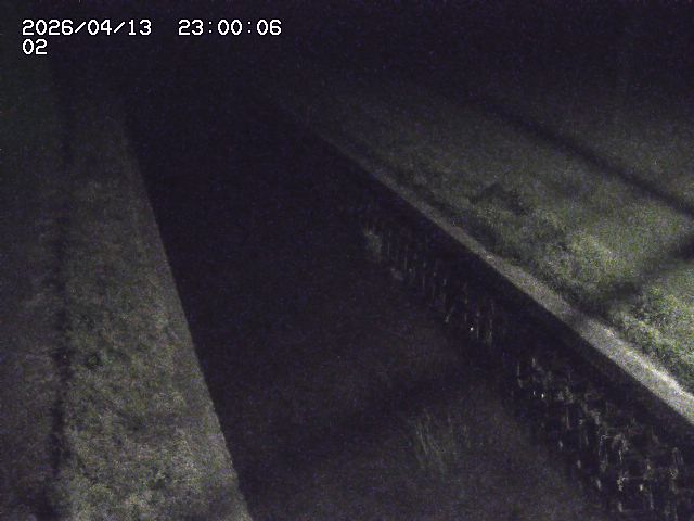 大倉川１2026/04/14 17:00:00