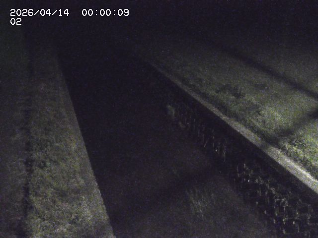 大倉川１2026/04/14 17:00:00