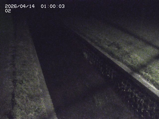大倉川１2026/04/14 17:00:00
