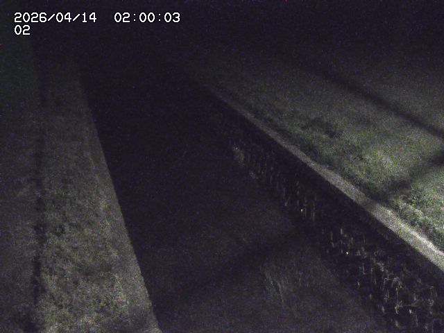 大倉川１2026/04/14 17:00:00