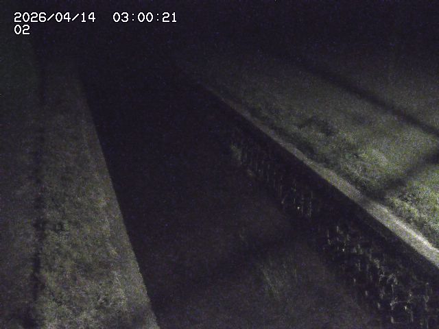 大倉川１2026/04/14 17:00:00