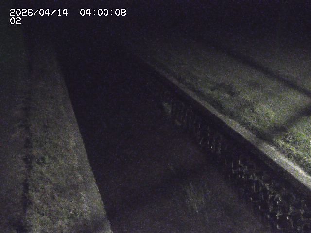 大倉川１2026/04/14 17:00:00