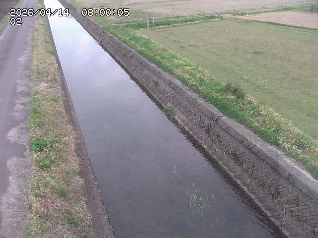 大倉川１2026/04/14 17:00:00