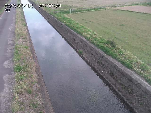 大倉川１2026/04/14 17:00:00