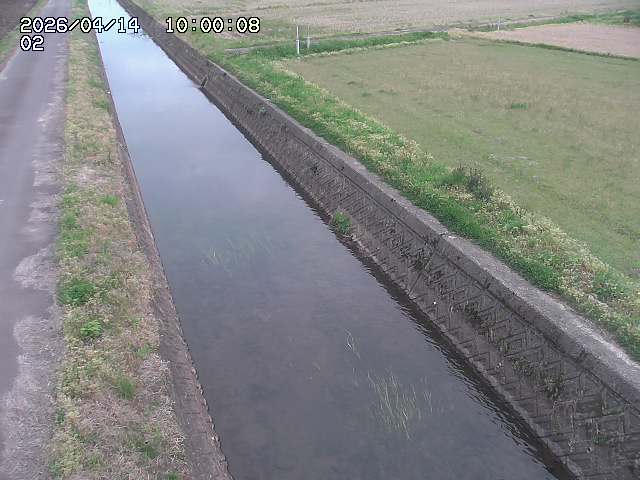 大倉川１2026/04/14 17:00:00