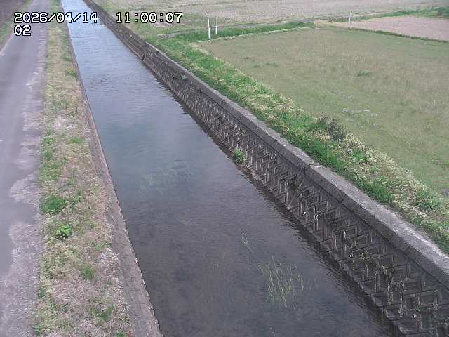 大倉川１2026/04/14 17:00:00