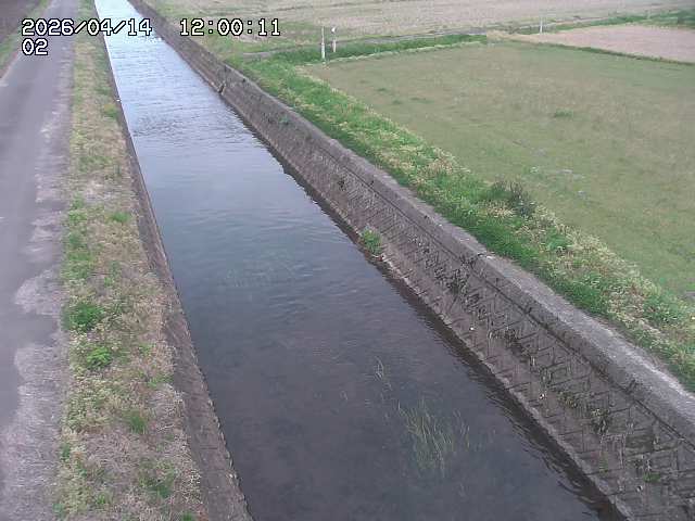 大倉川１2026/04/14 17:00:00