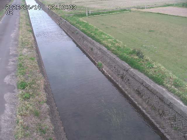 大倉川１2026/04/14 17:00:00