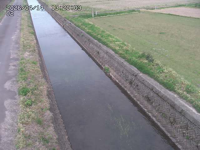 大倉川１2026/04/14 17:00:00