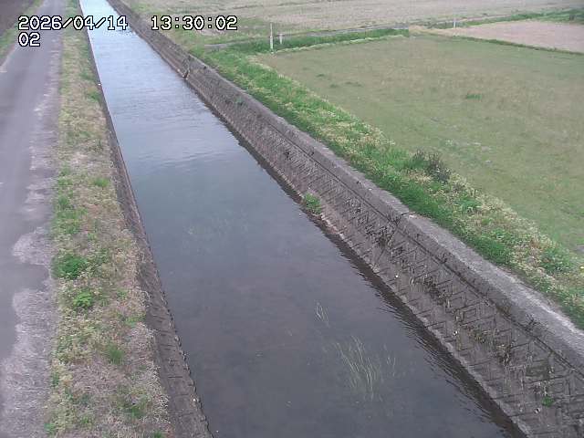 大倉川１2026/04/14 17:00:00