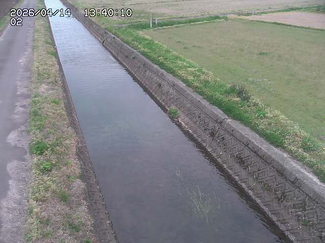 大倉川１2026/04/14 17:00:00