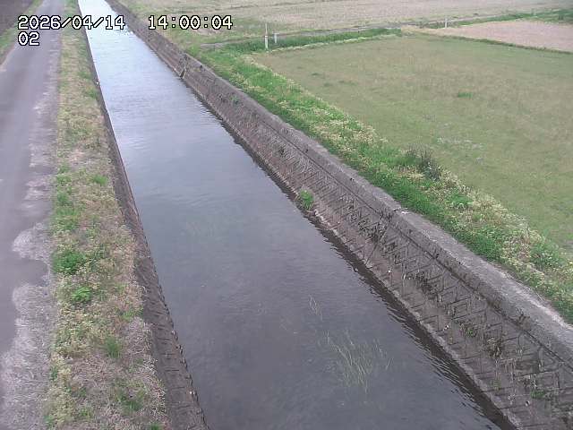 大倉川１2026/04/14 17:00:00