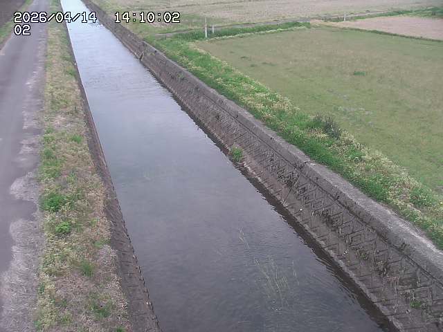 大倉川１2026/04/14 17:00:00