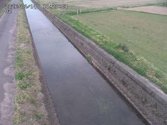 大倉川１2026/04/14 17:00:00