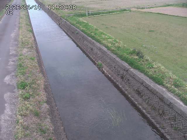 大倉川１2026/04/14 17:00:00