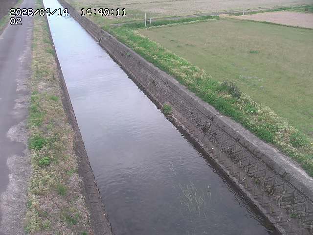 大倉川１2026/04/14 17:00:00