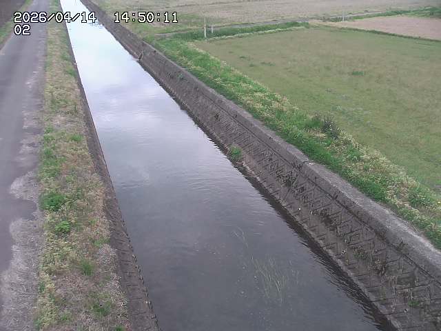 大倉川１2026/04/14 17:00:00