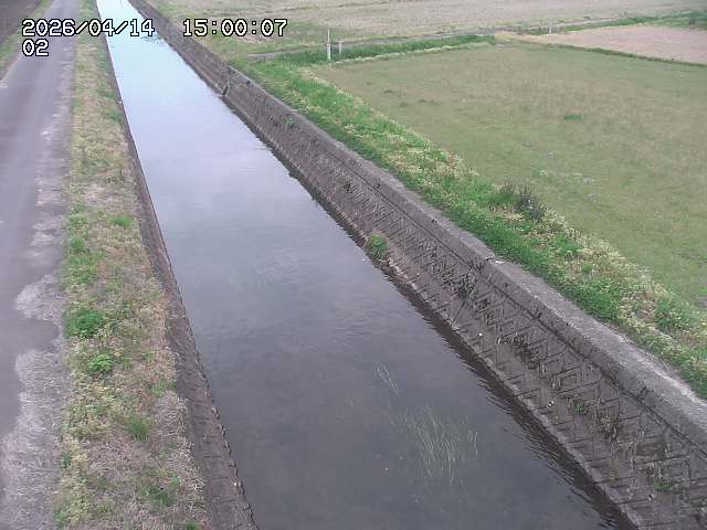 大倉川１2026/04/14 17:00:00