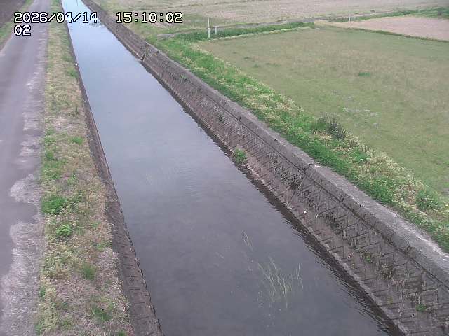 大倉川１2026/04/14 17:00:00