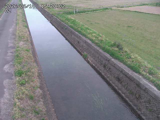 大倉川１2026/04/14 17:00:00