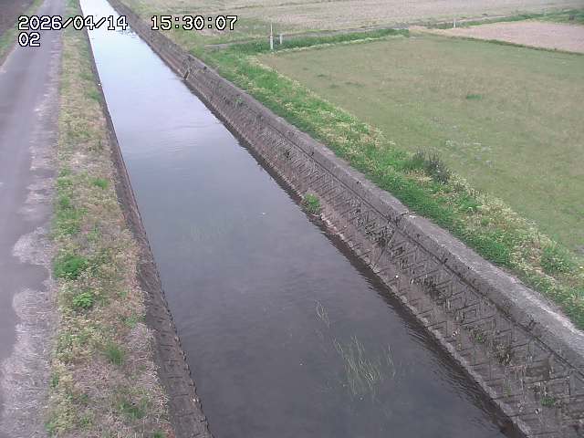 大倉川１2026/04/14 17:00:00