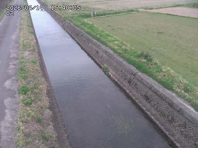 大倉川１2026/04/14 17:00:00