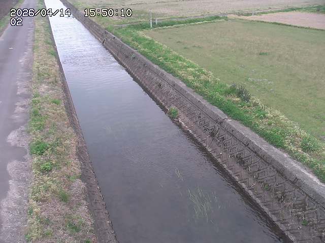 大倉川１2026/04/14 17:00:00