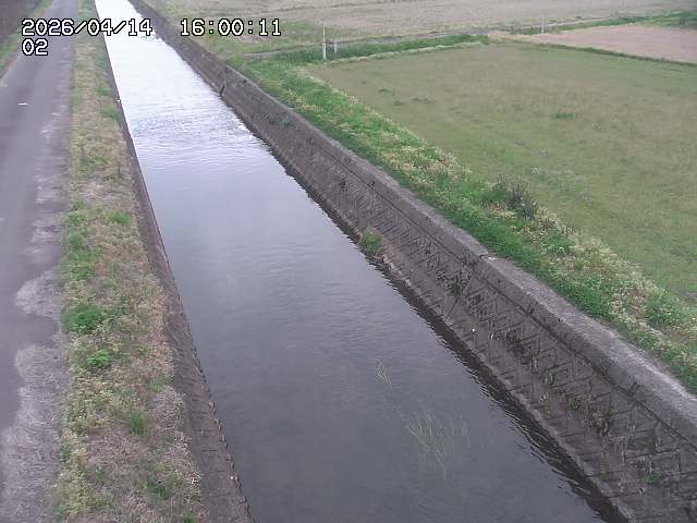 大倉川１2026/04/14 17:00:00