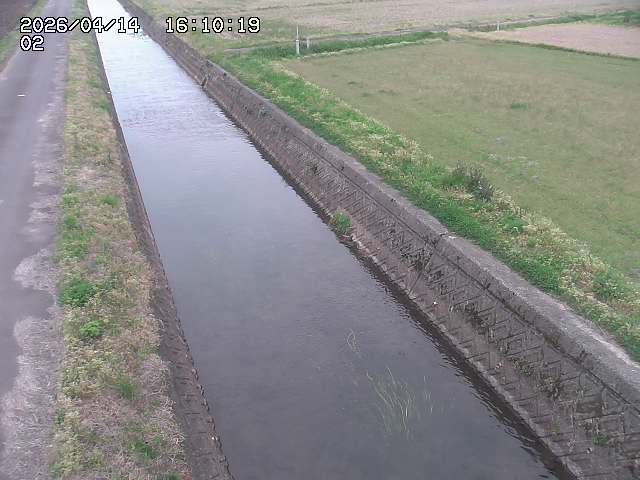 大倉川１2026/04/14 17:00:00