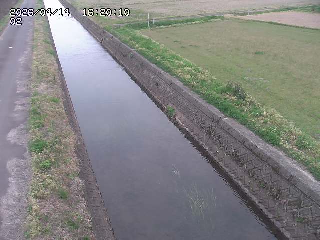 大倉川１2026/04/14 17:00:00