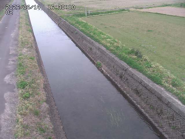 大倉川１2026/04/14 17:00:00