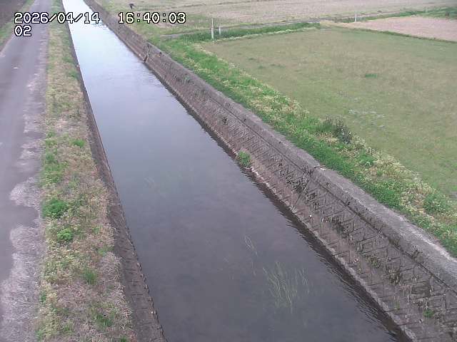 大倉川１2026/04/14 17:00:00