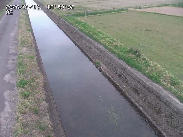 大倉川１2026/04/14 17:00:00