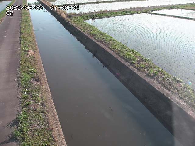 大倉川１2025/06/06 1:20:00
