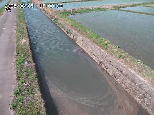 大倉川１2025/06/06 1:20:00