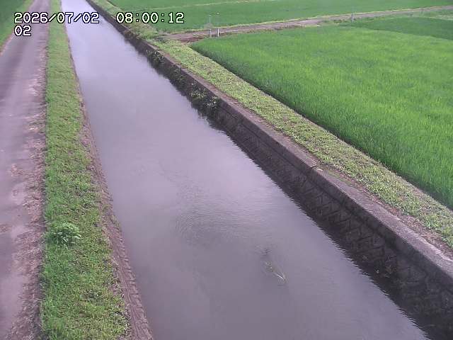 大倉川１2026/07/03 8:30:00