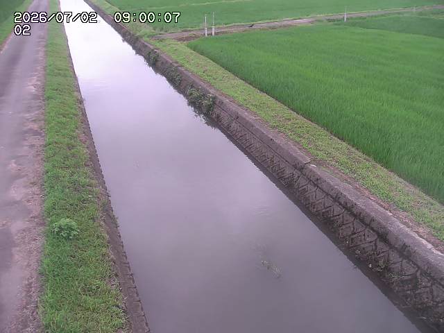 大倉川１2026/07/03 8:30:00