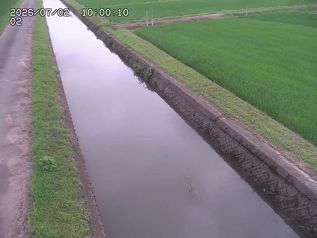 大倉川１2026/07/03 8:30:00