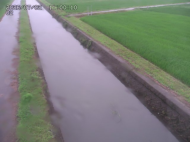 大倉川１2026/07/03 8:30:00