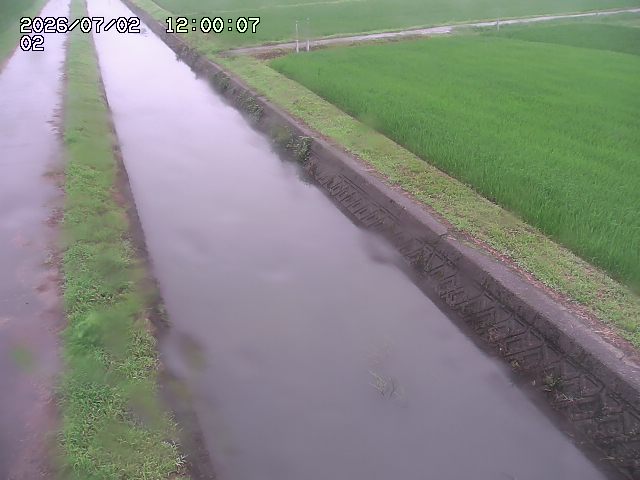 大倉川１2026/07/03 8:30:00