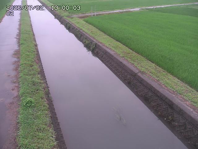 大倉川１2026/07/03 8:30:00