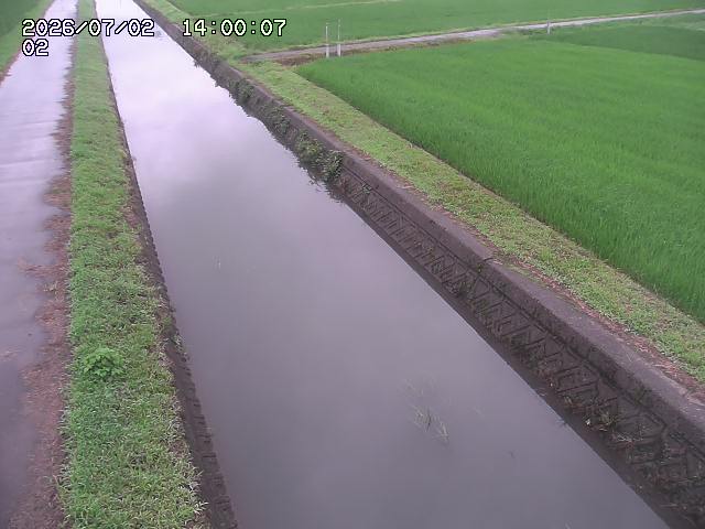 大倉川１2026/07/03 8:30:00