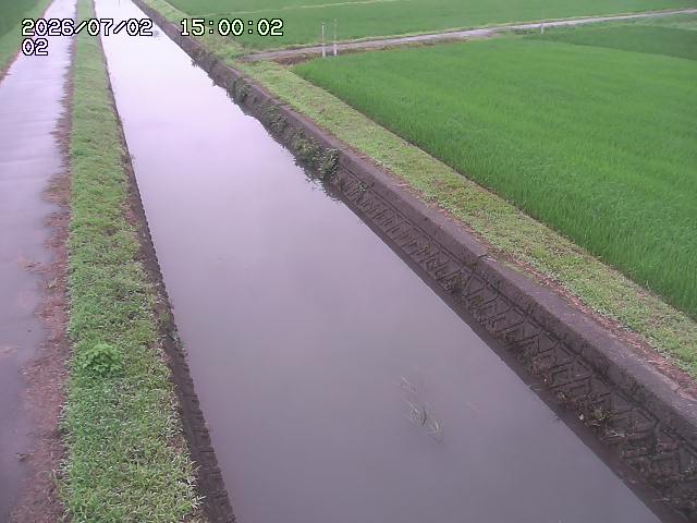大倉川１2026/07/03 8:30:00